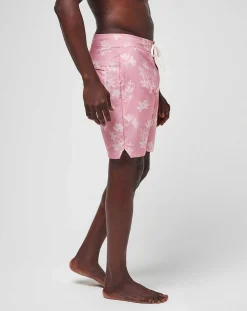 TravisMathew Shorts><noscript><img width=