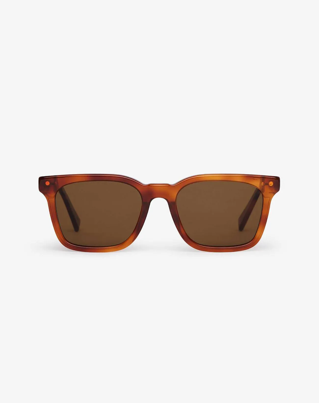 TravisMathew Sunglasses>Seacliff Sunglasses